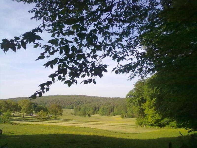 Ferienwohnungen Zeltnerhof Breitenbrunn  外观 照片